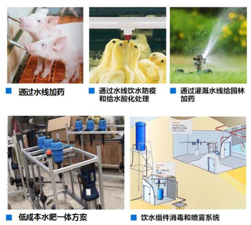 自动比例泵比例混合泵水肥一体泵加药器施肥器