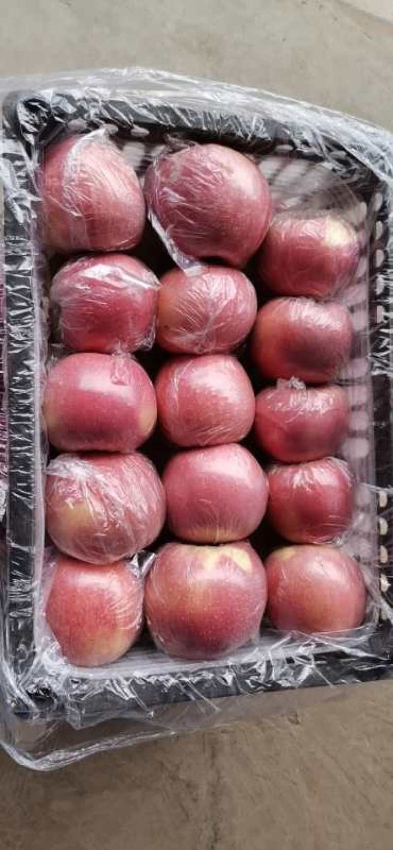 红富士苹果大量上市中