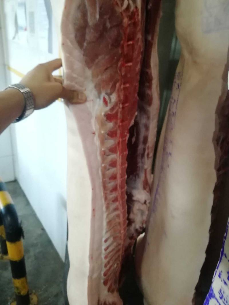 国产猪肉（鲜白条）正规厂家生产