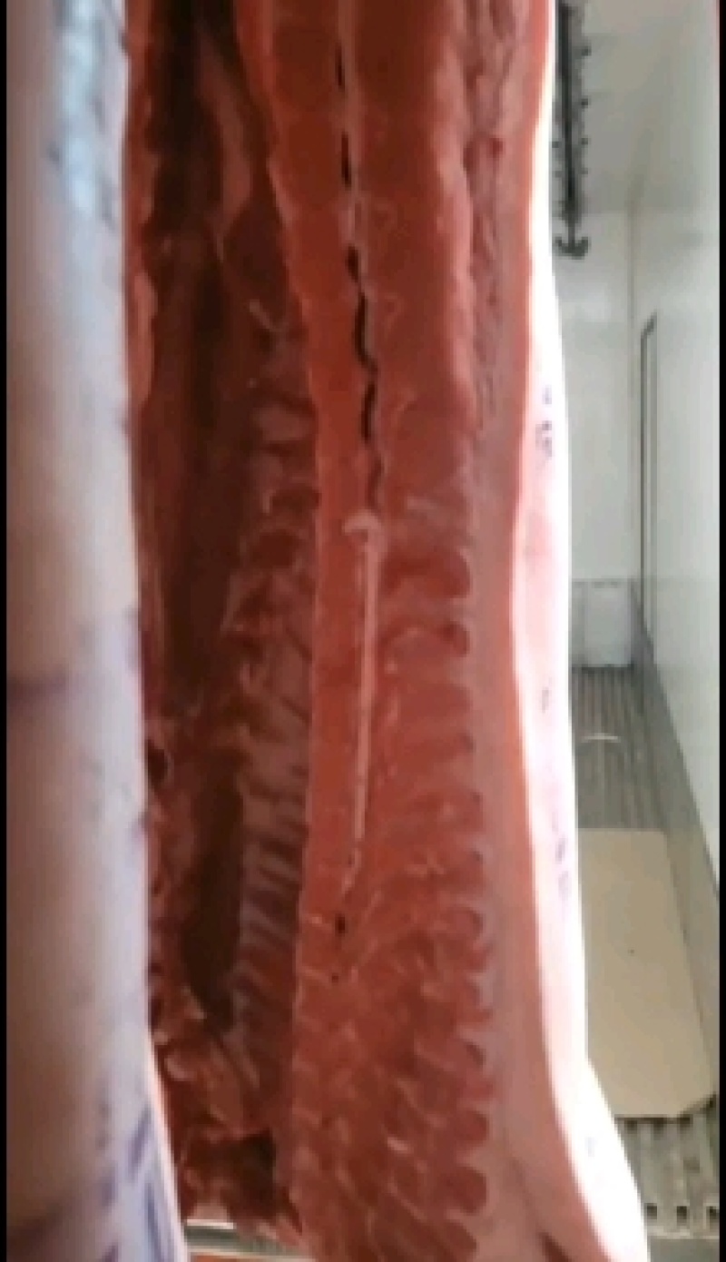 国产猪肉（鲜白条）正规厂家生产
