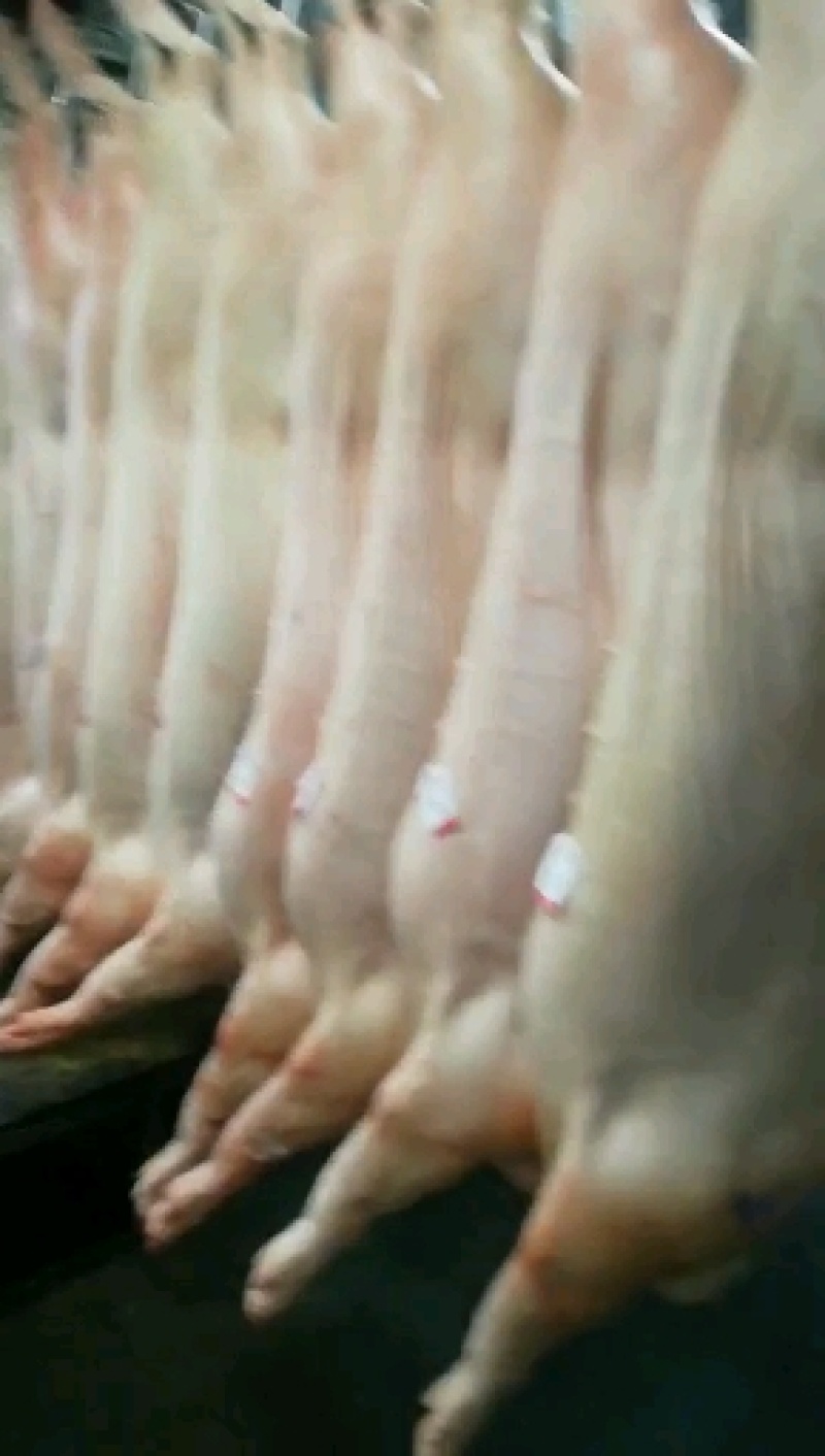 国产猪肉（鲜白条）正规厂家生产