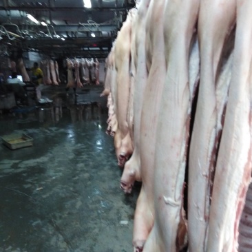 国产猪肉（鲜白条）正规厂家生产