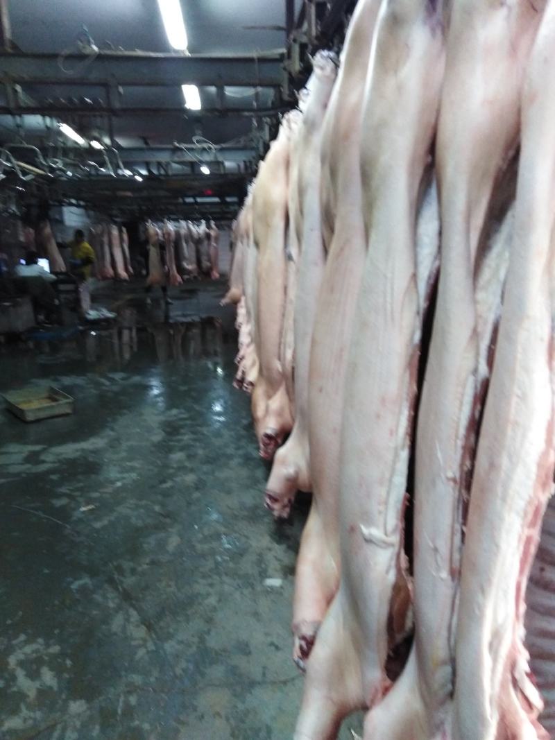 国产猪肉（鲜白条）正规厂家生产