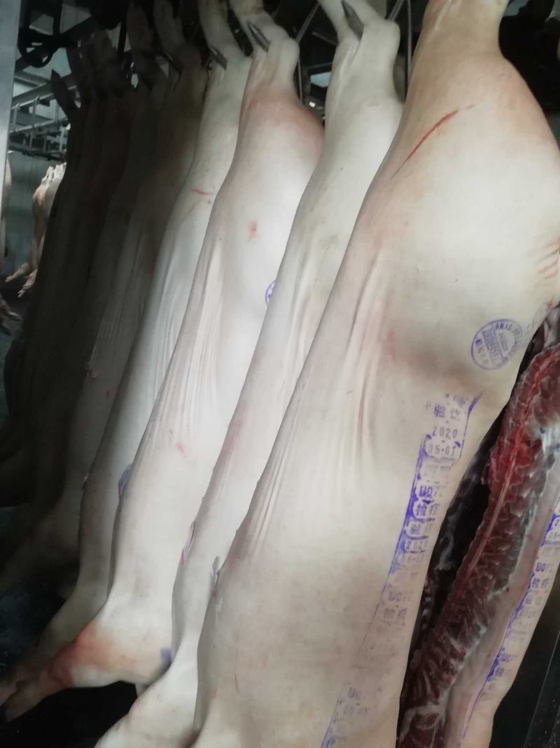 国产猪肉（鲜白条）正规厂家生产