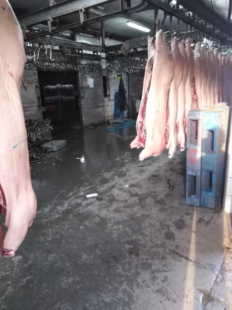 国产猪肉（鲜白条）正规厂家生产