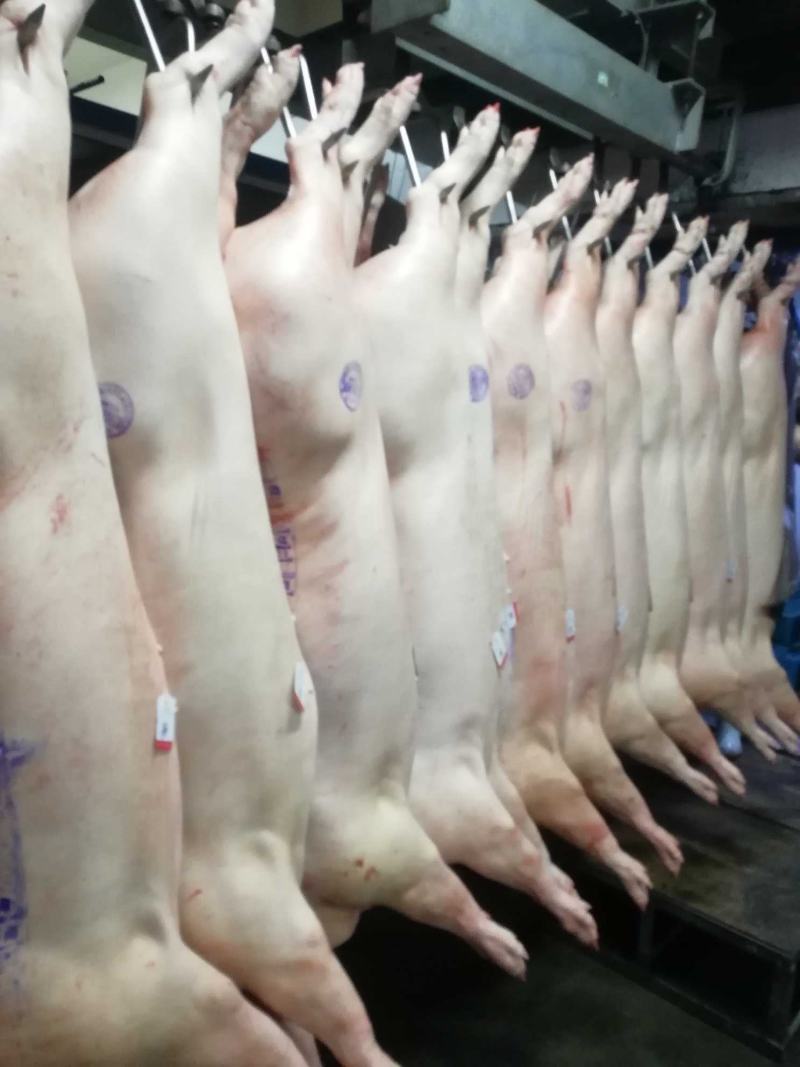 国产猪肉（鲜白条）正规厂家生产