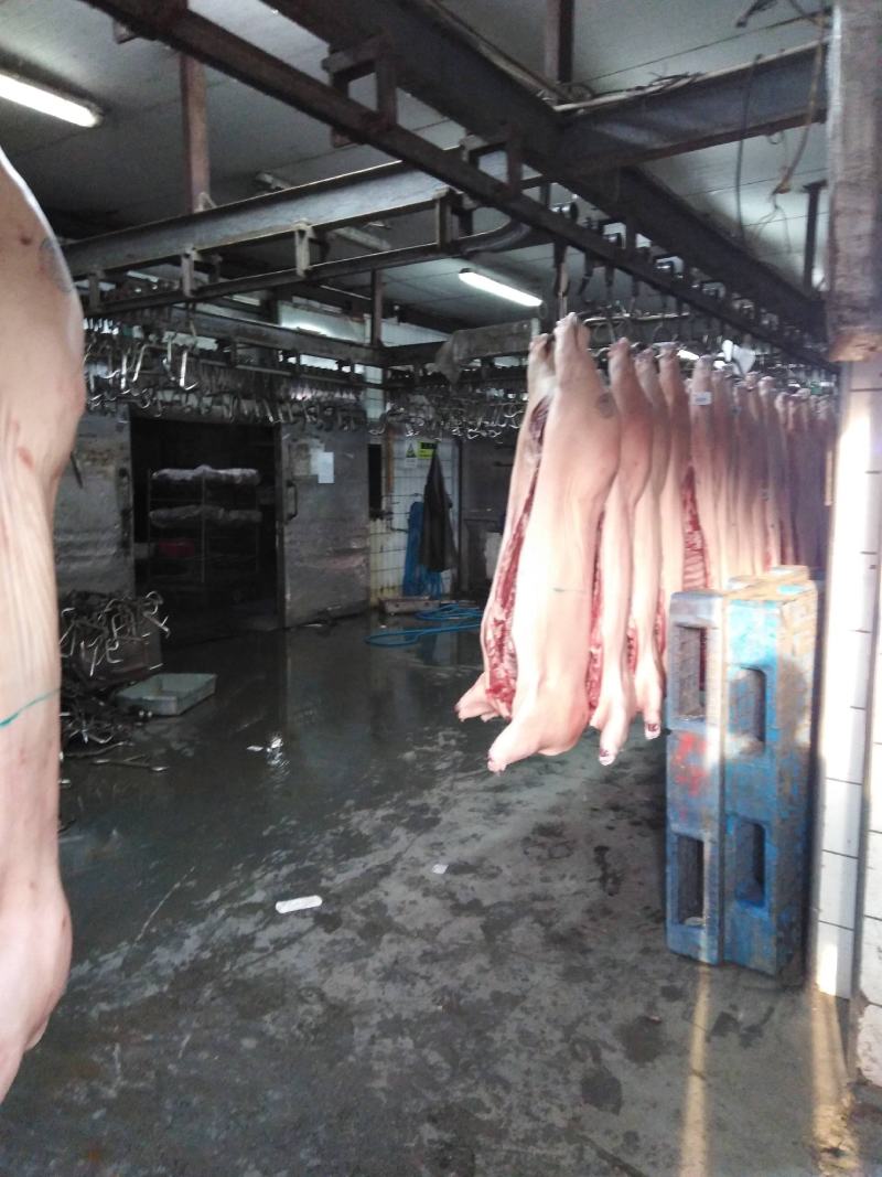 国产猪肉（鲜白条）正规厂家生产