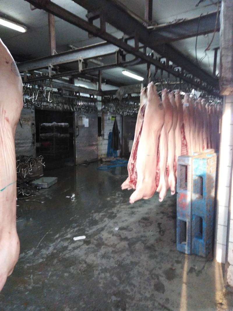国产猪肉（鲜白条）正规厂家生产