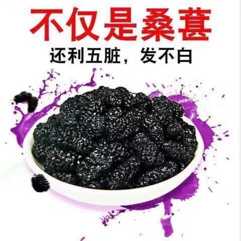 新疆桑葚干干净罐装无沙桑果干