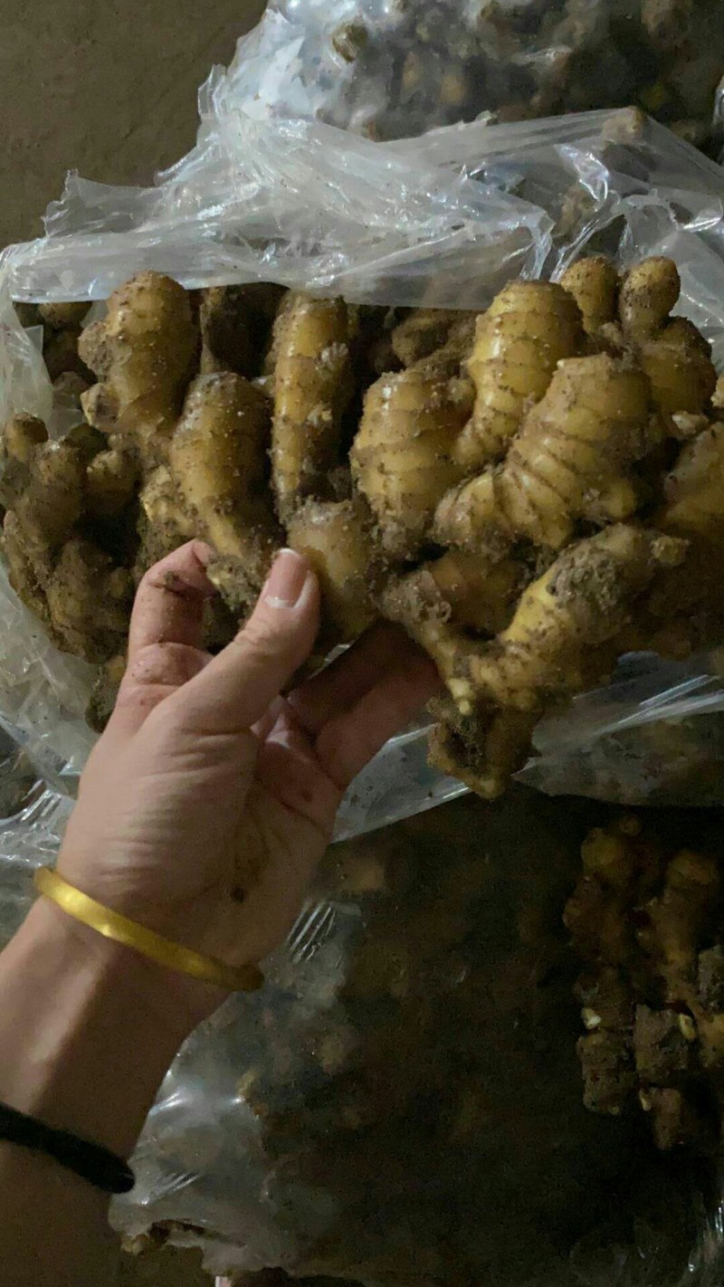 山东精品《小黄姜》水洗姜风干姜批发全国发货