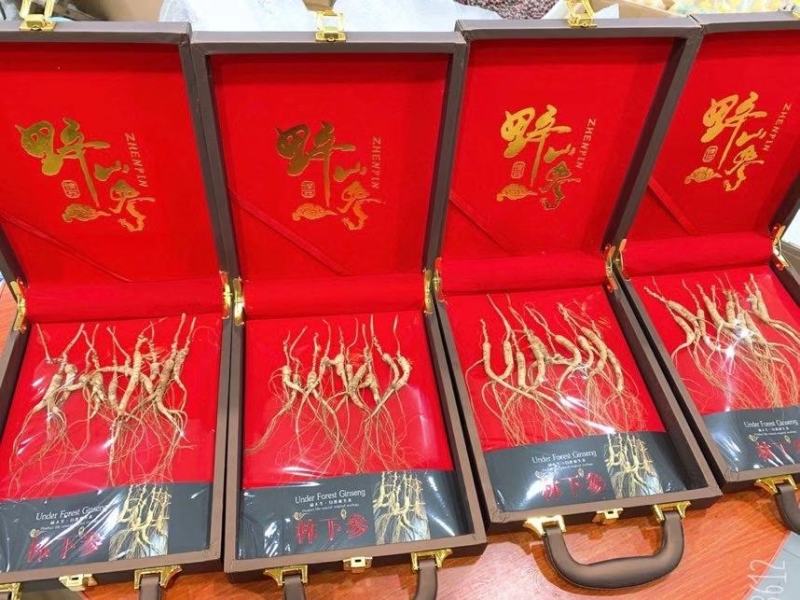 长白山林下参自然生长足龄老参17-25年精挑细选礼盒装