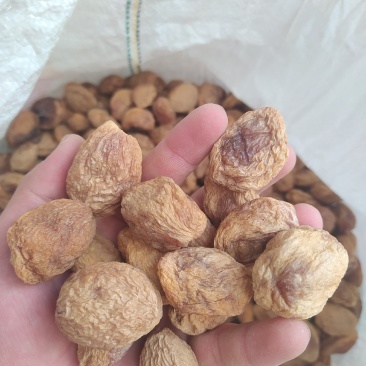 新鲜的新疆巴仁杏干，你们一定会爱上吃的。