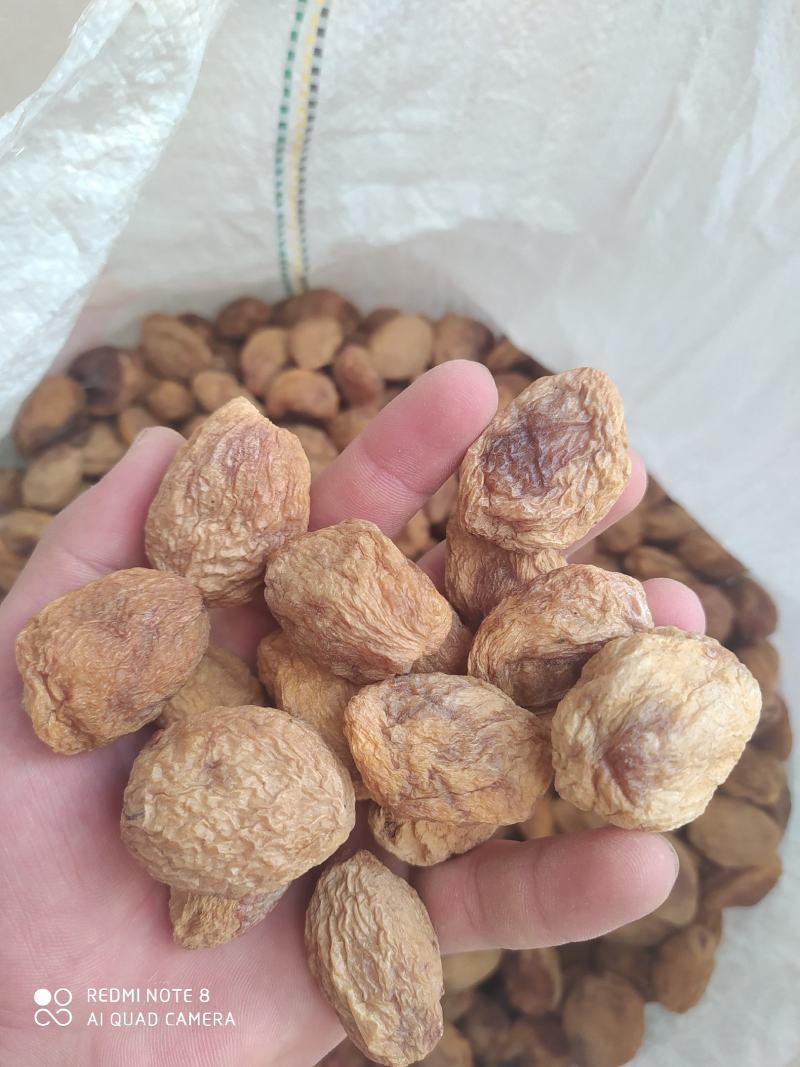 新鲜的新疆巴仁杏干，你们一定会爱上吃的。