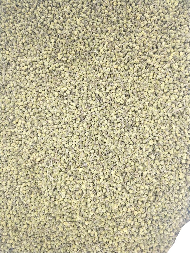 吴茱萸苗，正宗江西中花吴茱萸，茶辣苗，两三年苗，自产自销