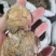 大腹皮海南干货2斤起包邮量大从优