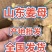 姜母山东优质姜母常年有货质量好货源充足