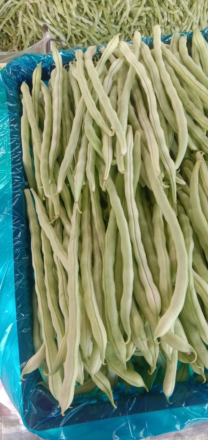 白不老，白无丝。量大质量好又便宜