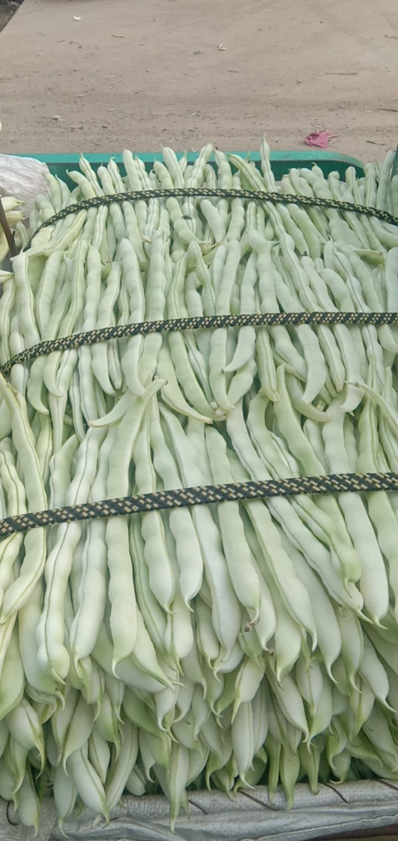 白不老，白无丝。量大质量好又便宜