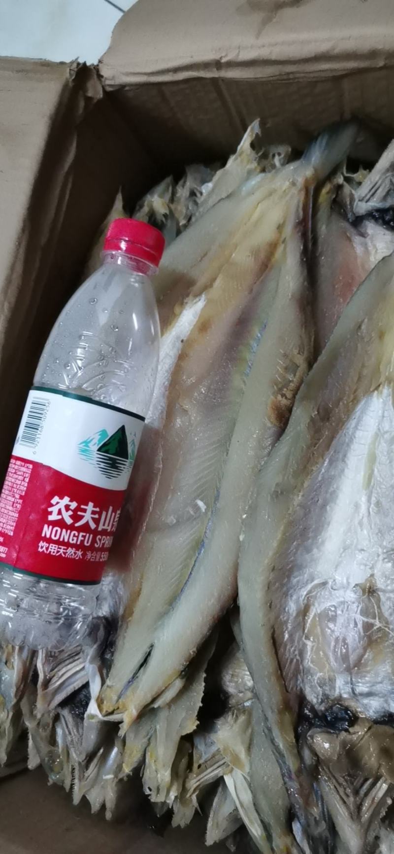 香梭鱼一款微咸鱼，一条在一斤到七两左右，开背去内脏肉质超