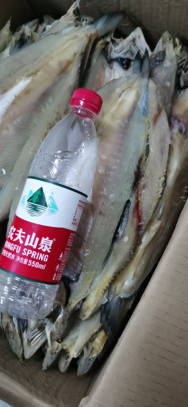 香梭鱼一款微咸鱼，一条在一斤到七两左右，开背去内脏肉质超