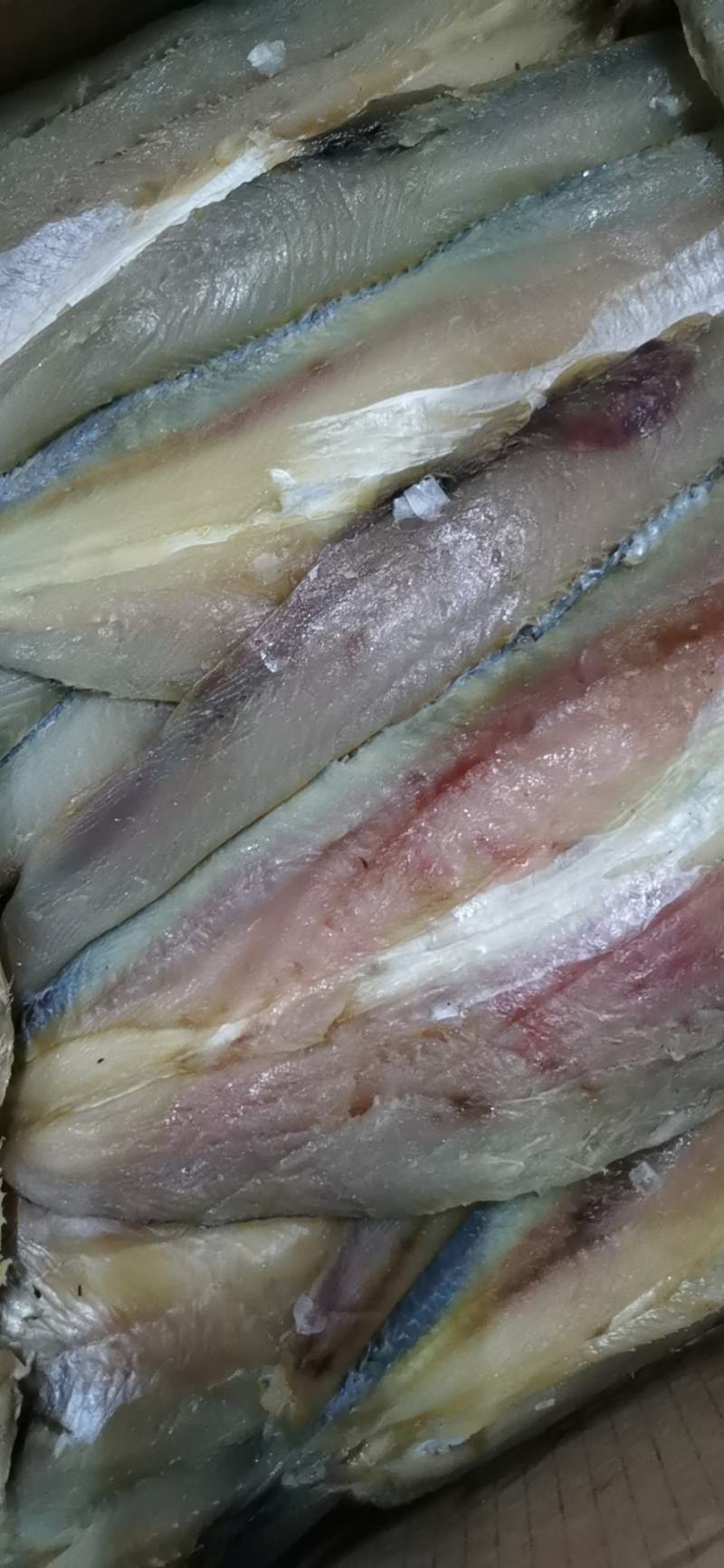 香梭鱼一款微咸鱼，一条在一斤到七两左右，开背去内脏肉质超