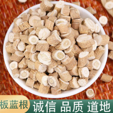 板蓝根无硫优质板蓝根板蓝根打粉产地直销