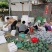 攀枝花阳光特产凯特芒果