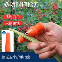 拇指刀摘菜掐菜采摘省工护手套