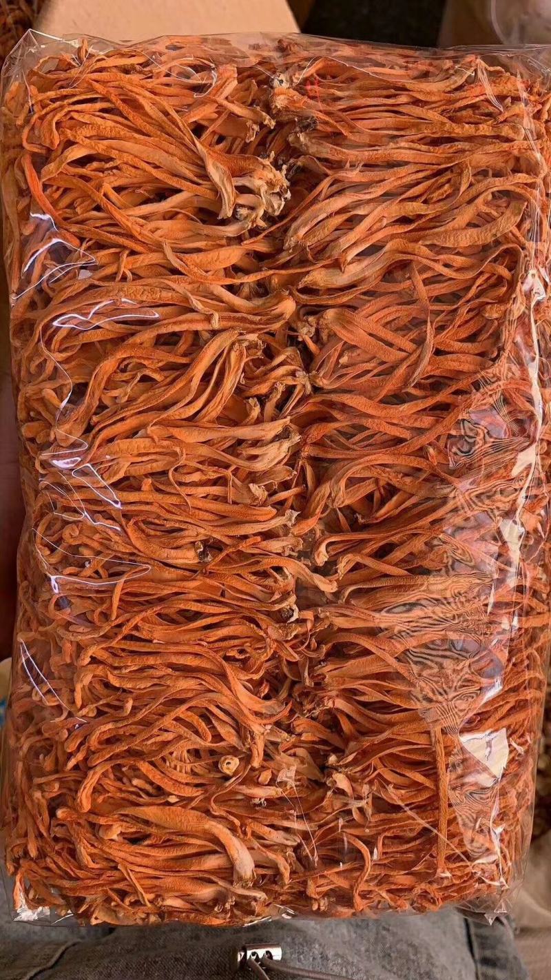 特选东北虫草花粗排大量上市批零兼营质量不好包退包运费