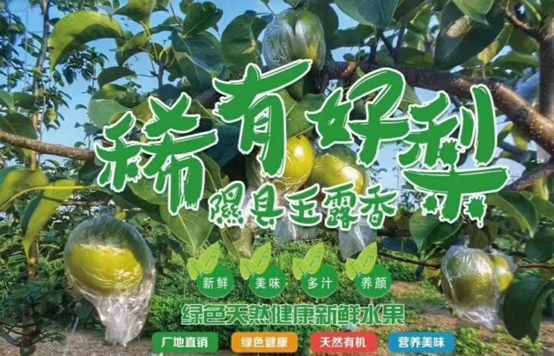 隰县王露香香甜可口皮薄水大