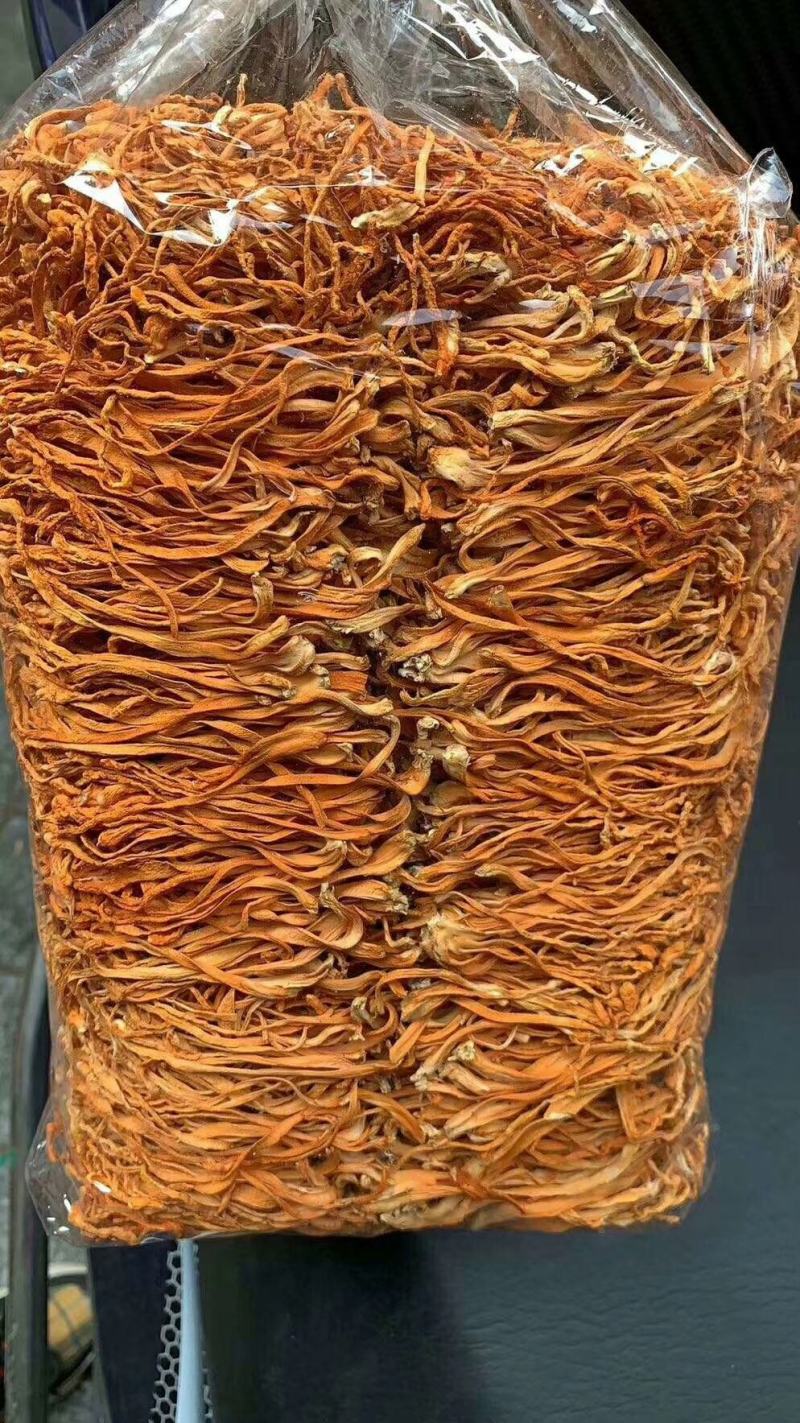特选东北虫草花粗排大量上市批零兼营质量不好包退包运费