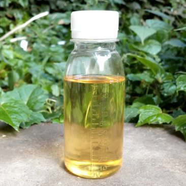 薄荷油特级天然薄荷油一手货源