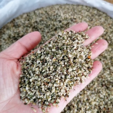 火麻仁麻仁子去皮批发零售各种规格中药材批发