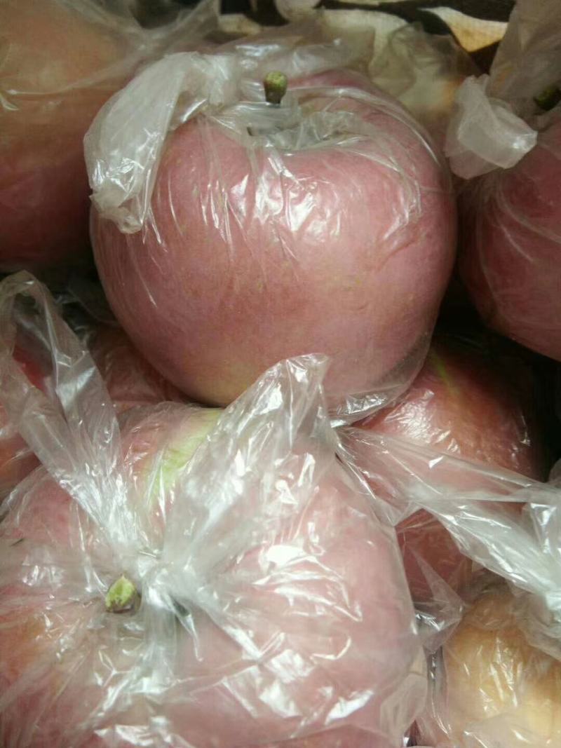 红富士苹果精选精品大果80mm脆甜多汁一件代发