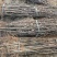 花椒苗1~2年基地发货根系发达产量高