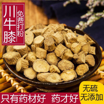 川牛膝正宗无硫川牛膝干净无渣