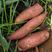 山东烟薯济薯西瓜红供应货源充足质量保证代办一切手续