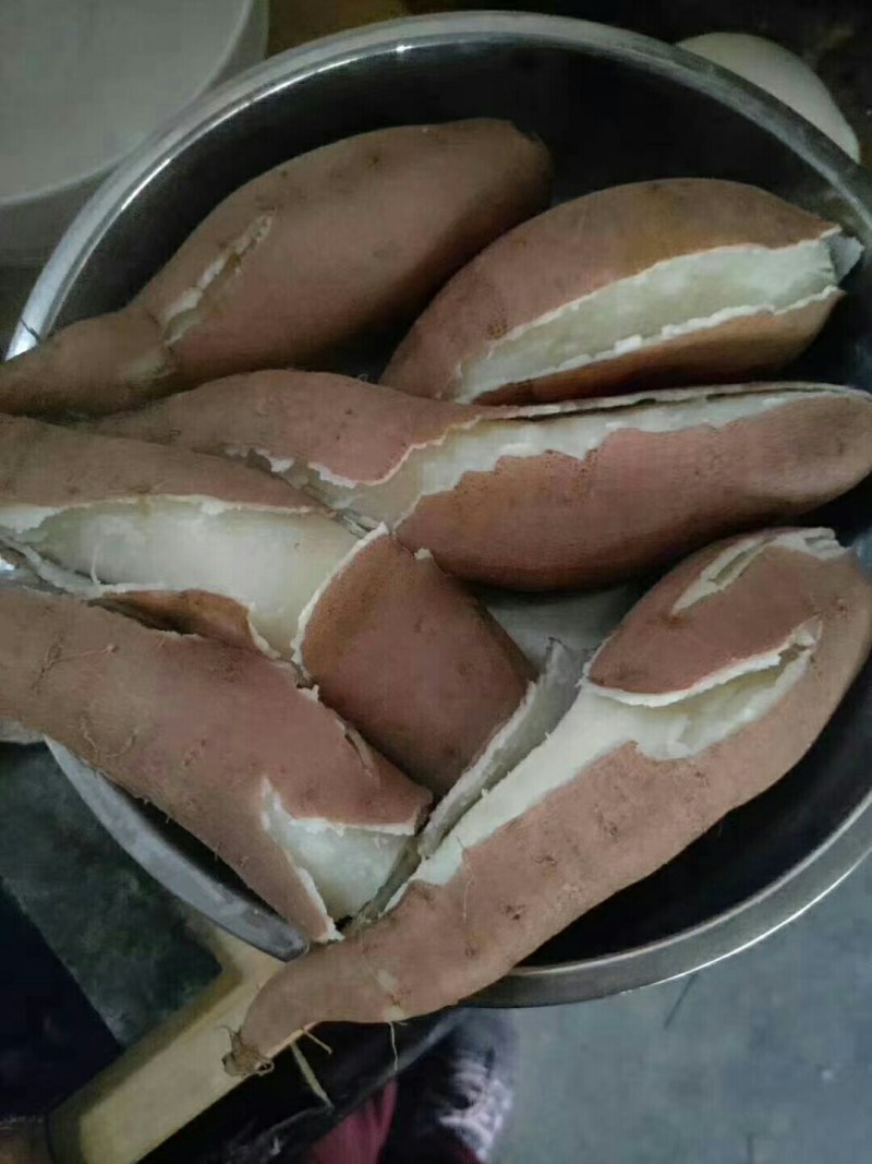 红薯美美美美美美美美美美美美美美美美美美美美美美美美美美