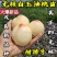 【新品】无核白玉油桃苗改良新品自然无核甜度高卖疯了