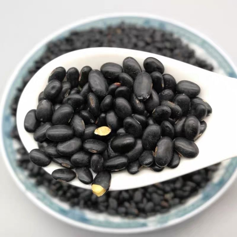 黑豆（黄心~绿心）无硫熏规格齐全药食两用