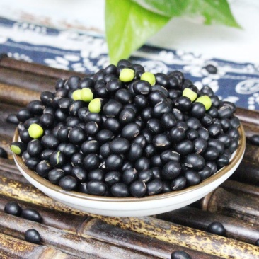 黑豆（黄心~绿心）无硫熏规格齐全药食两用