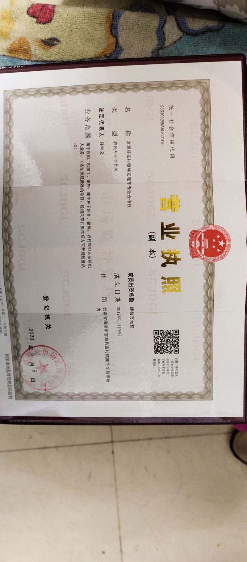魔芋种子一代种二代种基地直发。提供技术指导签合同上门回收