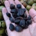 山茶籽茶果茶籽苞干货茶籽米手工摘茶籽土茶籽小茶籽