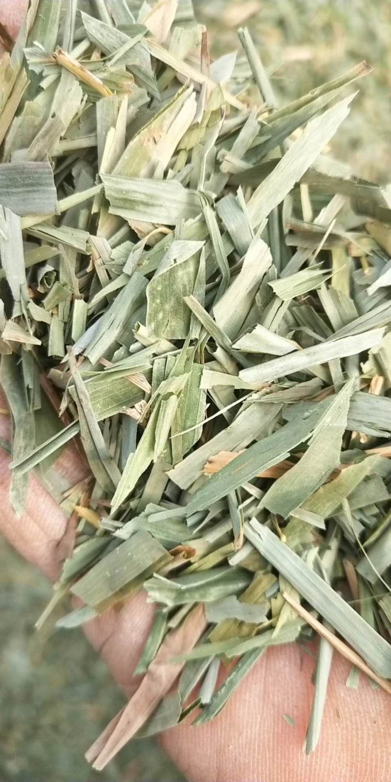 长年竹叶个子片子大货供应长期有货欢迎联系
