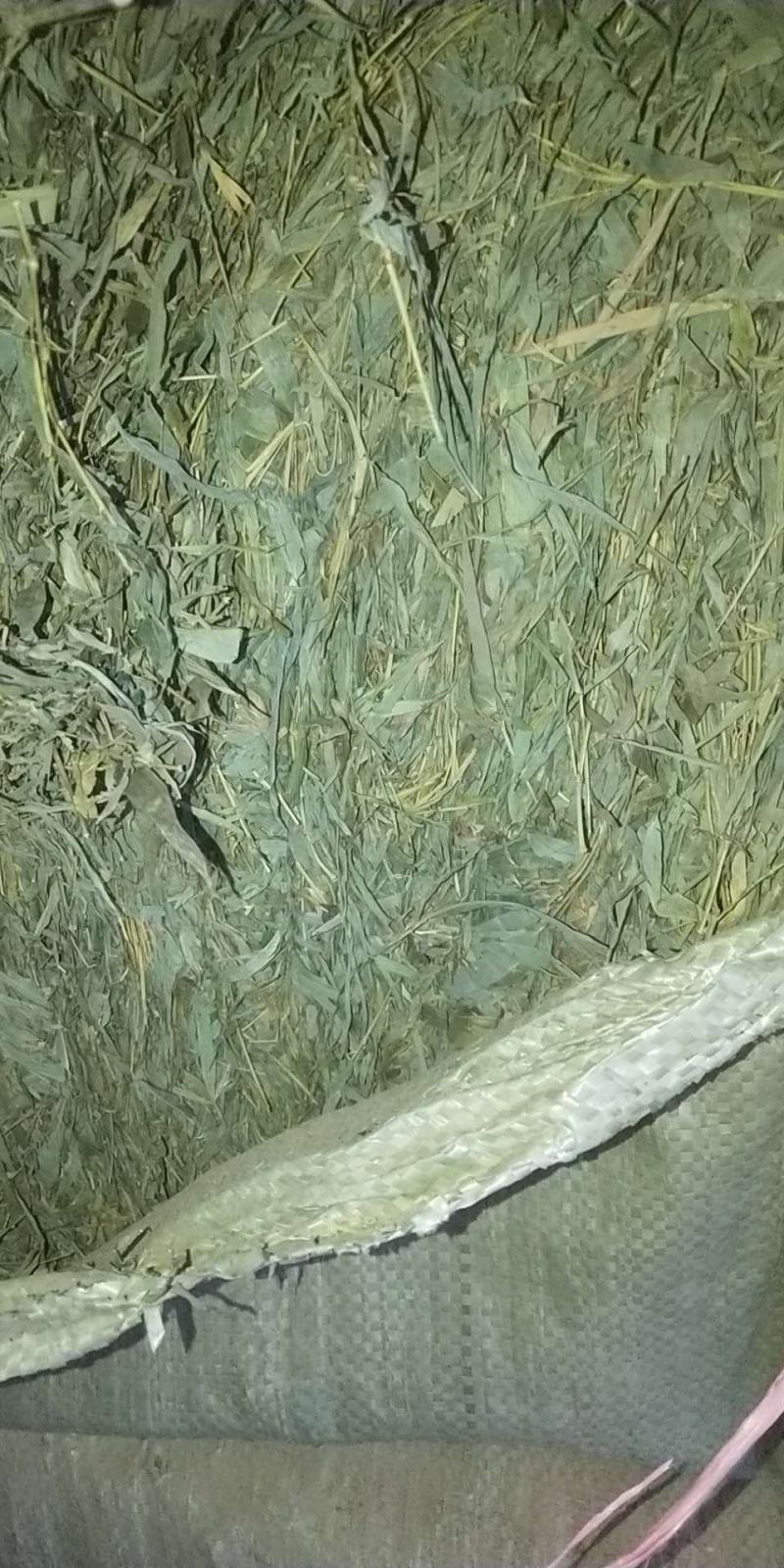 长年竹叶个子片子大货供应长期有货欢迎联系