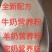 散装骆驼粉牦牛奶粉羊奶粉一件50斤