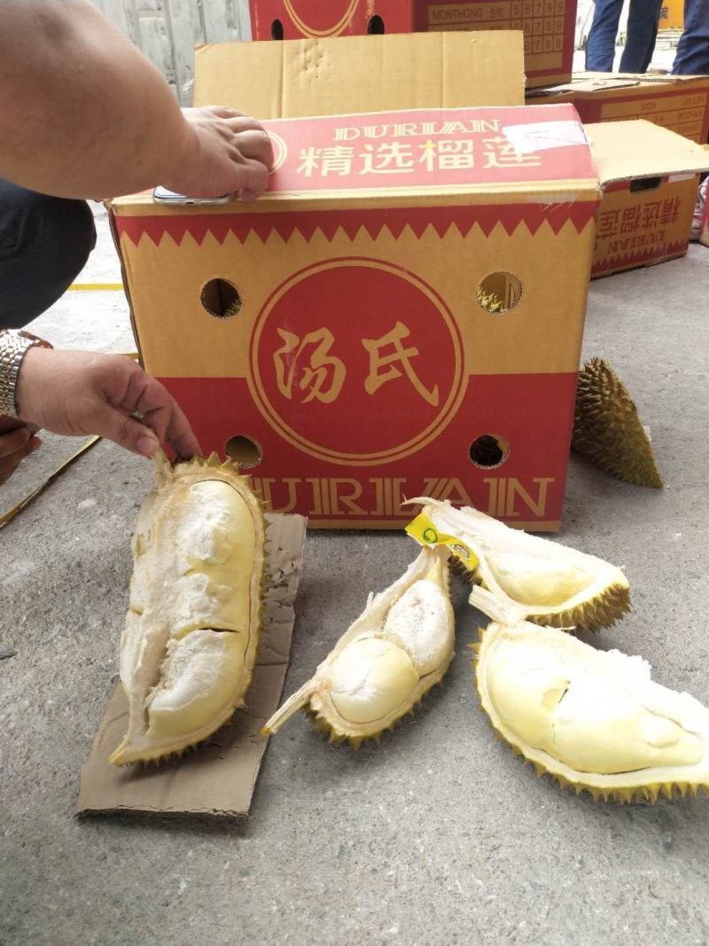 汤氏泰国金枕头榴莲产地一手货源批发商直销
