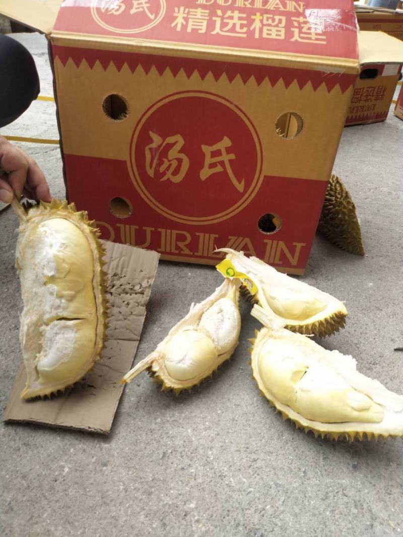 汤氏泰国金枕头榴莲产地一手货源批发商直销