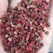 大红袍花椒一级干