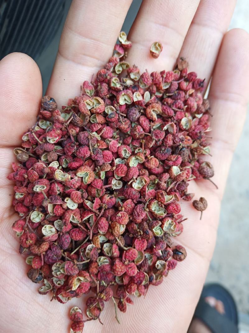 大红袍花椒一级干